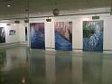 Bild_8